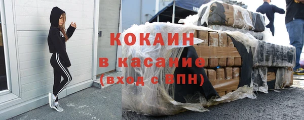 трава Наволоки