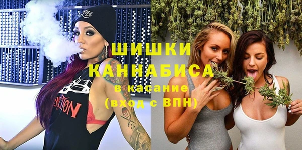 трава Наволоки